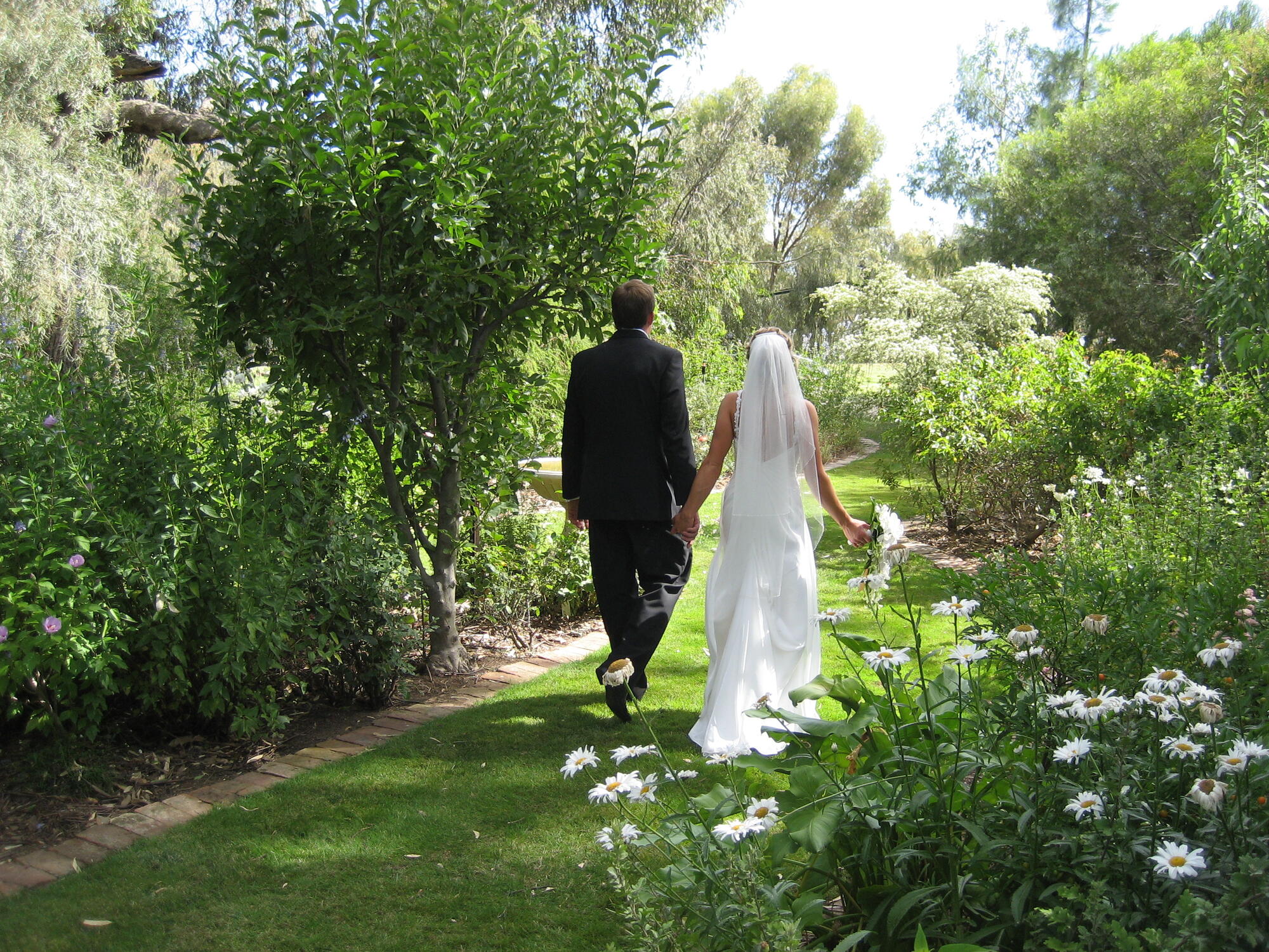 Bride and groom walking hand in hand along a garden path at Paradise Gardens, surrounded by lush greenery and daisies